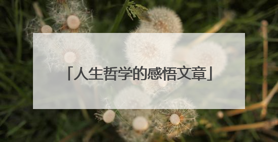 人生哲学的感悟文章