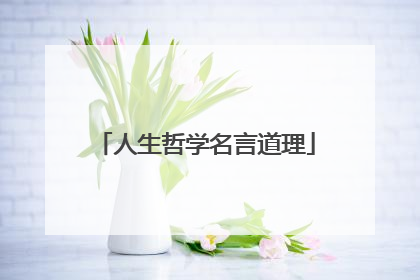 人生哲学名言道理