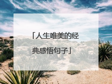 人生唯美的经典感悟句子