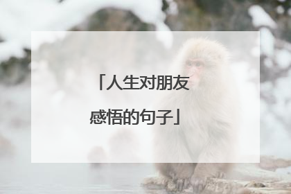 人生对朋友感悟的句子
