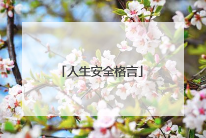 人生安全格言