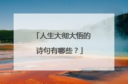 人生大彻大悟的诗句有哪些？