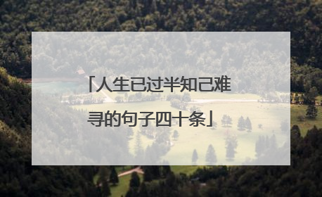 人生已过半知己难寻的句子四十条
