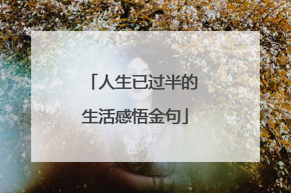人生已过半的生活感悟金句