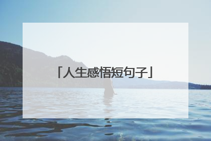 人生感悟短句子