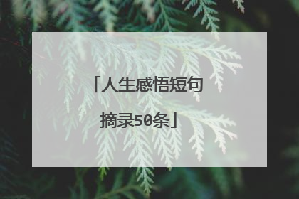 人生感悟短句摘录50条