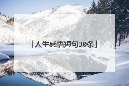 人生感悟短句30条