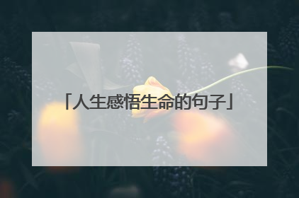 人生感悟生命的句子