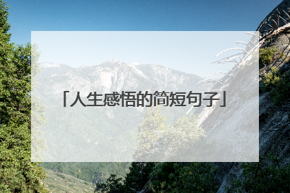 人生感悟的简短句子