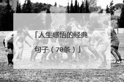 人生感悟的经典句子(70条)