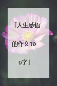 人生感悟的作文300字