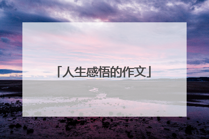 人生感悟的作文
