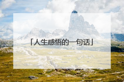 人生感悟的一句话