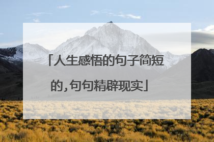 人生感悟的句子简短的,句句精辟现实