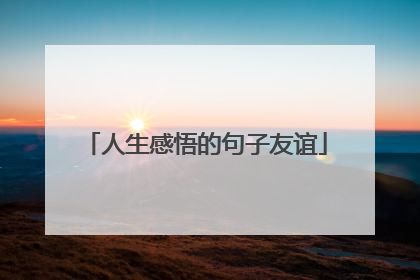 人生感悟的句子友谊
