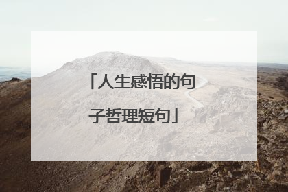 人生感悟的句子哲理短句
