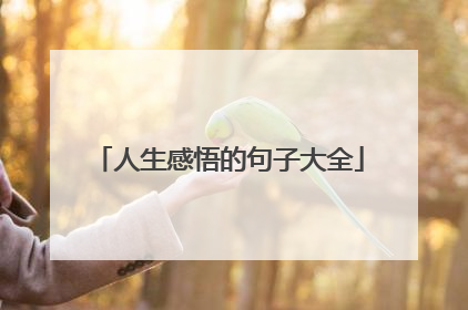 人生感悟的句子大全