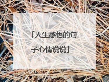人生感悟的句子心情说说
