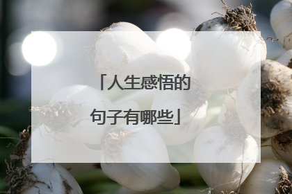 人生感悟的句子有哪些