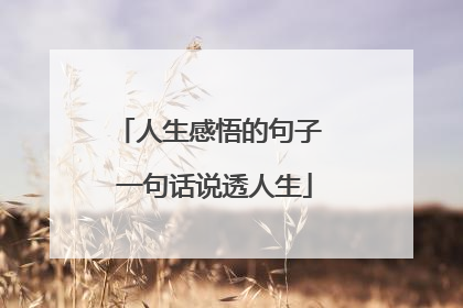 人生感悟的句子 一句话说透人生