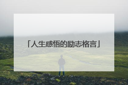 人生感悟的励志格言