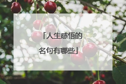 人生感悟的名句有哪些