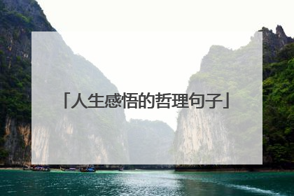 人生感悟的哲理句子