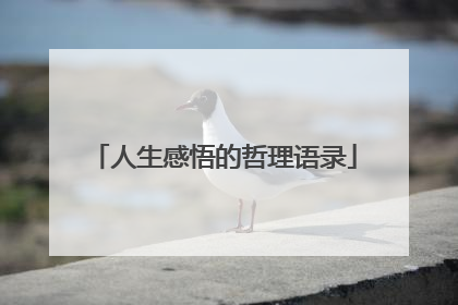 人生感悟的哲理语录