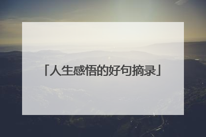人生感悟的好句摘录