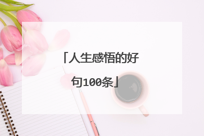 人生感悟的好句100条