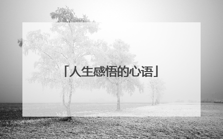 人生感悟的心语