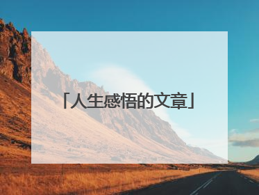 人生感悟的文章