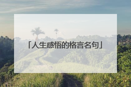 人生感悟的格言名句
