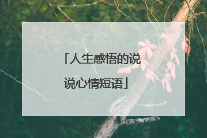 人生感悟的说说心情短语