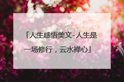 人生感悟美文-人生是一场修行，云水禅心