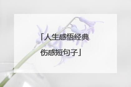 人生感悟经典伤感短句子