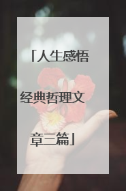 人生感悟经典哲理文章三篇