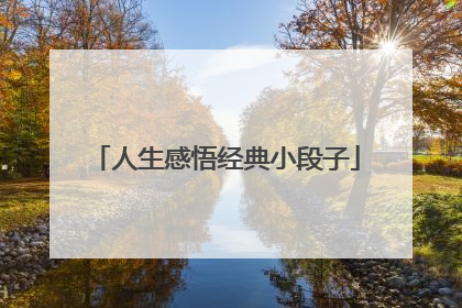 人生感悟经典小段子