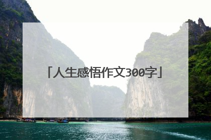人生感悟作文300字