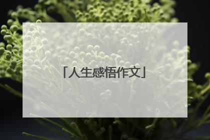 人生感悟作文