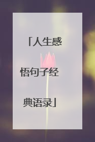 人生感悟句子经典语录