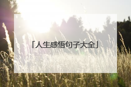 人生感悟句子大全