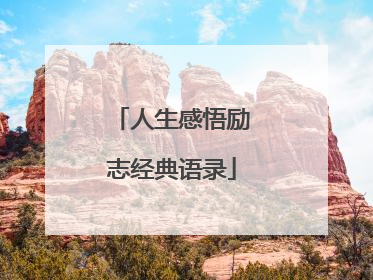 人生感悟励志经典语录