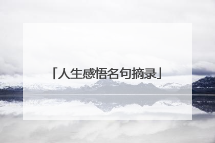 人生感悟名句摘录