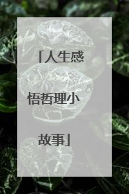 人生感悟哲理小故事