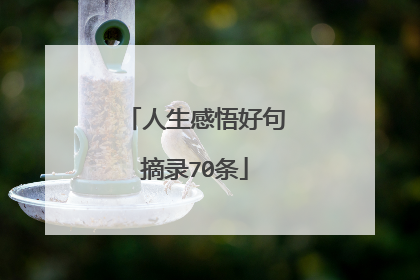 人生感悟好句摘录70条