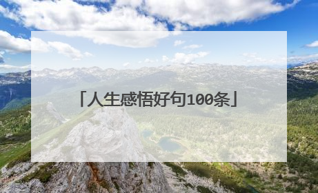 人生感悟好句100条