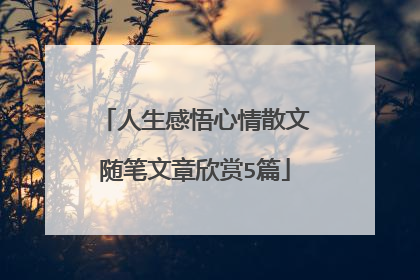 人生感悟心情散文随笔文章欣赏5篇