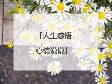 人生感悟心情说说