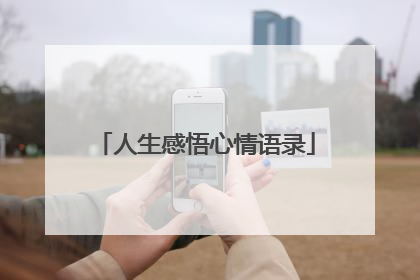 人生感悟心情语录